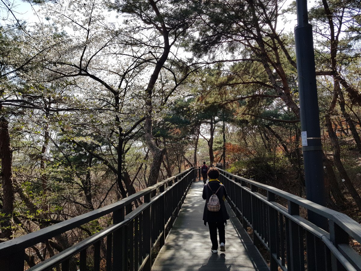 첨부사진3