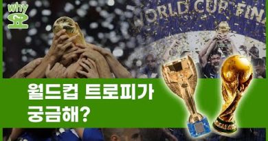월드컵 트로피 규정: 2006 이후 변화된 우승 팀 보관 정책과 피파컵 제작 사양